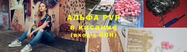 прущие грибы Арсеньев
