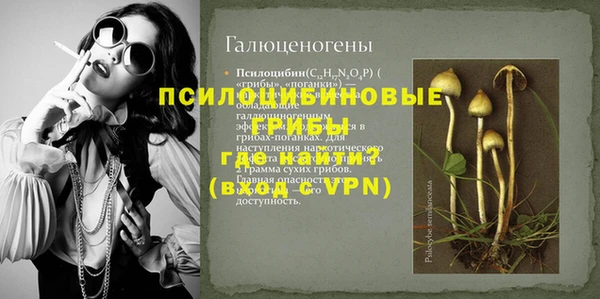прущие грибы Арсеньев