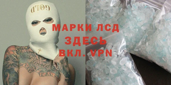 прущие грибы Арсеньев
