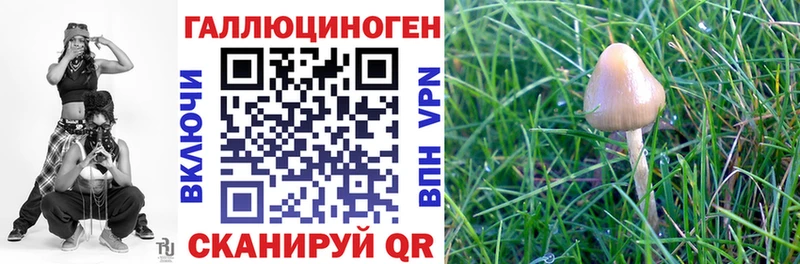Псилоцибиновые грибы GOLDEN TEACHER  хочу   Раменское 